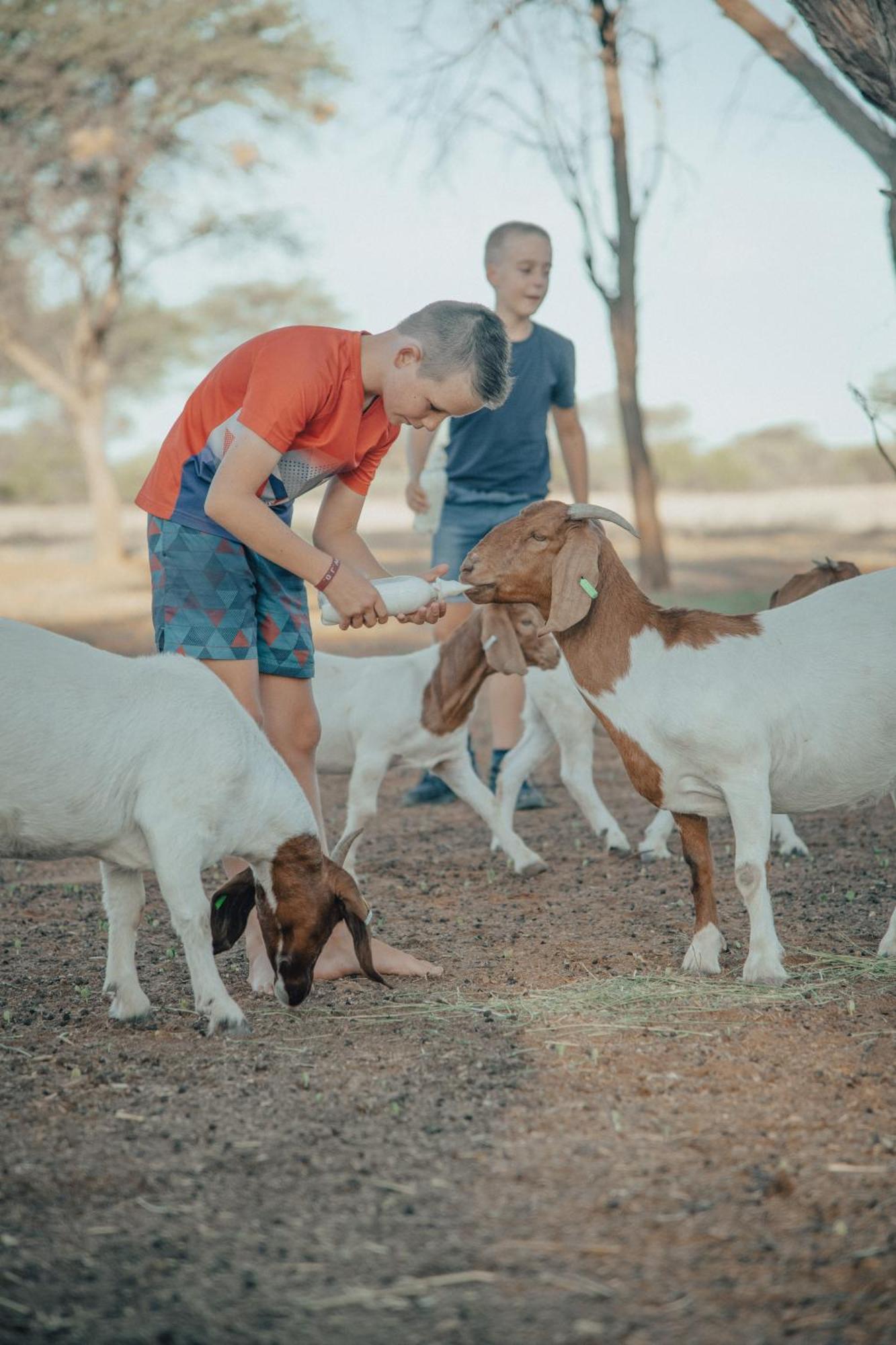 Africa Awaits Lodge & Safaris Gobabis Bagian luar foto
